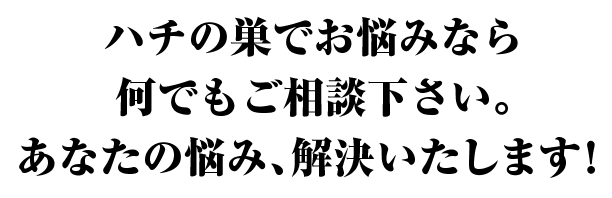 ハチの巣でお悩みなら何でもご相談ください。あなたのお悩み、解決いたします!